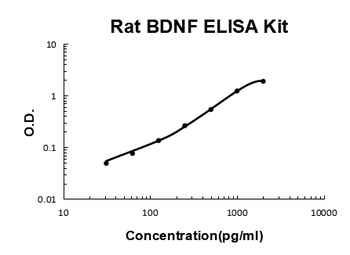 Rat BDNF ELISA Kit