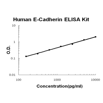 Human E-Cadherin/CDH1/Cadherin-1 ELISA Kit