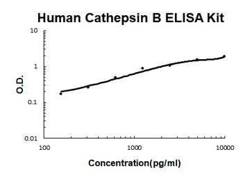 Human Cathepsin B ELISA Kit