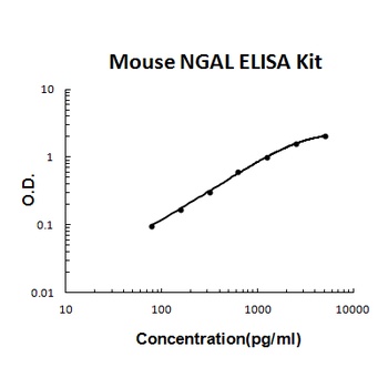 Mouse Lipocalin-2/NGAL ELISA Kit