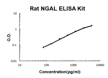 Rat Lipocalin-2/NGAL ELISA Kit