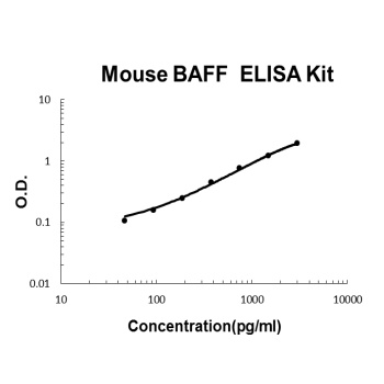Mouse BAFF ELISA Kit