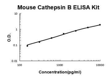 Mouse Cathepsin B ELISA Kit
