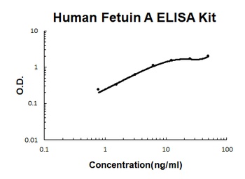 Human Fetuin A/AHSG ELISA Kit