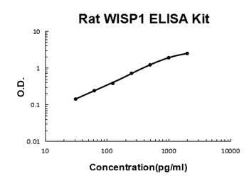 Rat WISP1/CCN4 ELISA Kit