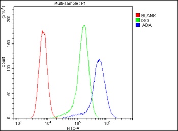 ADA Antibody (monoclonal, 6D4)