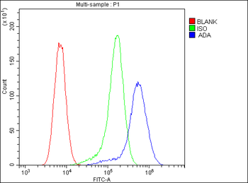 Anti-ADA Antibody (monoclonal, 6D4)