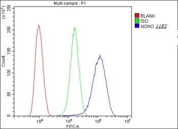 nmt55 p54nrb NONO Antibody (monoclonal, 11E2)