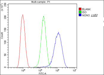 Anti-nmt55 p54nrb NONO Antibody (monoclonal, 11E2)