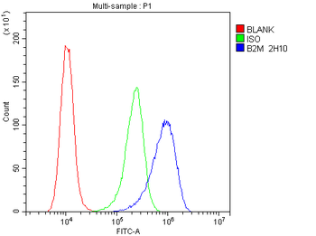 Anti-Beta 2 Microglobulin B2M Antibody (monoclonal, 2H10)