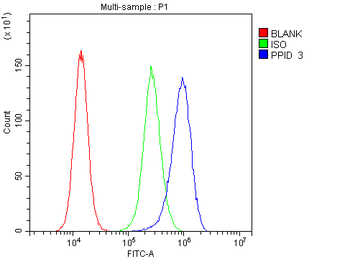 Anti-PPID Antibody (monoclonal, 5A6)