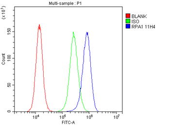 RPA70 RPA1 Antibody (monoclonal, 11H4)