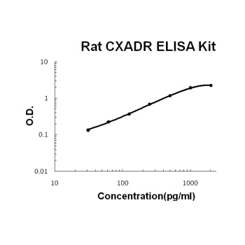 Rat CXADR ELISA Kit
