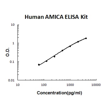 Human AMICA/JAML ELISA Kit