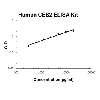 Human CES2 ELISA Kit