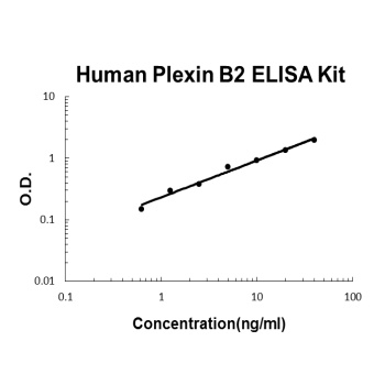 Human Plexin B2/PLXNB2 ELISA Kit