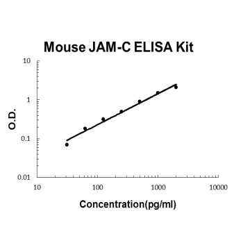 Mouse JAM-C/JAM3 ELISA Kit