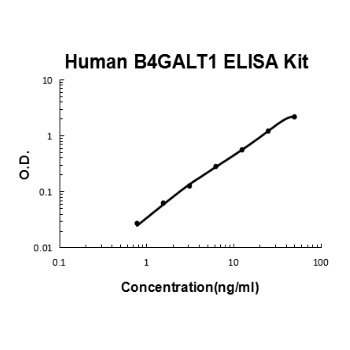Human B4GALT1 ELISA Kit