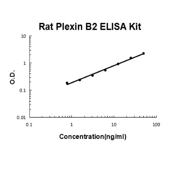Rat Plexin B2/PLXNB2 ELISA Kit