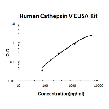 Human Cathepsin V/CTSV ELISA Kit