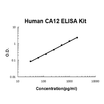 Human CA12/Carbonic anhydrase 12 ELISA Kit