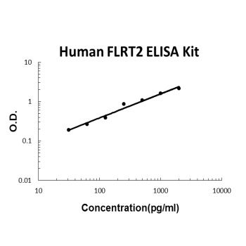Human FLRT2 ELISA Kit