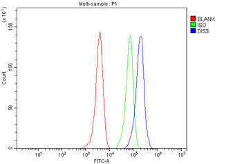 DIS3 Antibody