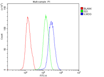 Anti-Myelin oligodendrocyte glycoprotein/MOG Antibody