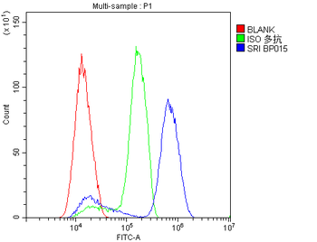 Anti-SRI Antibody
