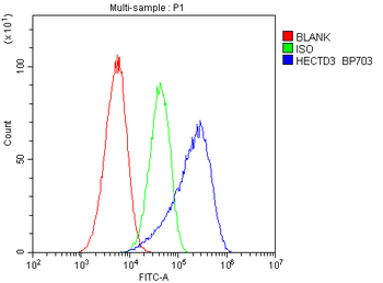 Anti-HECTD3 Antibody