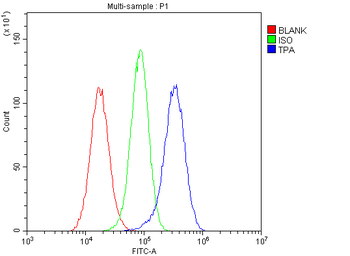 Anti-TPA Tissue Plasminogen Activator/PLAT Antibody
