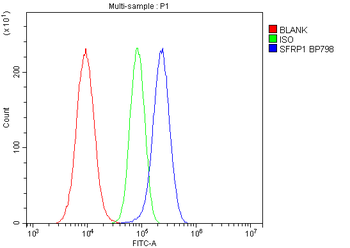 Anti-SFRP1 Antibody