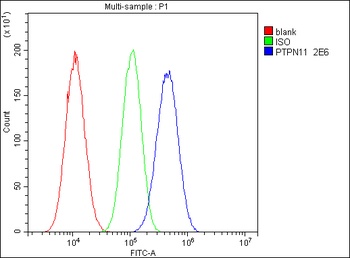 SHP2/PTPN11 Antibody (monoclonal, 2E6)