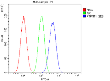 Anti-SHP2/PTPN11 Antibody (monoclonal, 2E6)