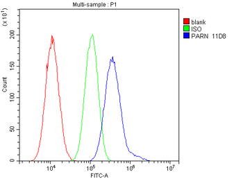 Anti-PARN Antibody (monoclonal, 11D8)