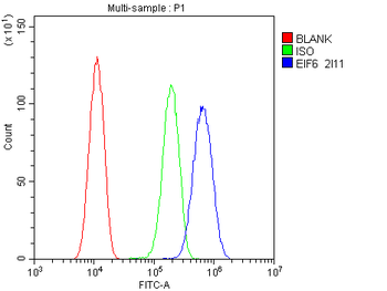 Anti-EIF6 Antibody (monoclonal, 2I11)