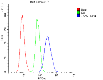 GNAQ Antibody (monoclonal, 13H4)