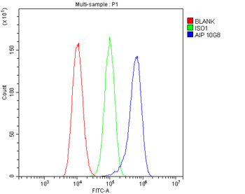 ARA9/AIP Antibody (monoclonal, 10G8)