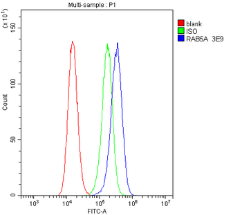 Anti-Rab5/RAB5A Antibody (monoclonal, 3E9)