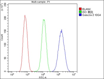 Galectin 3/LGALS3 Antibody (monoclonal, 12B12)