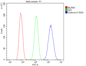 Anti-Galectin 3/LGALS3 Antibody (monoclonal, 12B12)