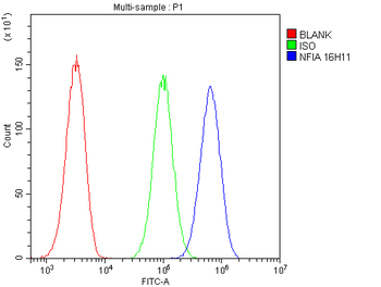 Anti-NFIA Antibody (monoclonal, 16H11)