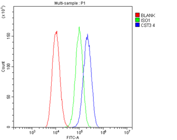 Anti-Cystatin C/CST3 Antibody (monoclonal, 4H8)