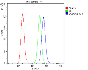 Anti-GM130 GOLGA2 Antibody (monoclonal, 4G3)