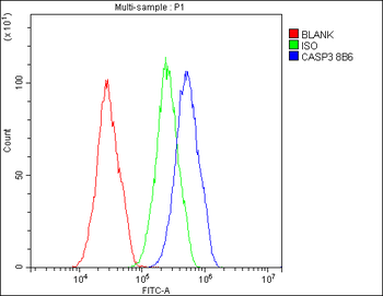 Anti-Caspase-3 Antibody (monoclonal, 8B6)