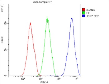 HAUSP/USP7 Antibody (monoclonal, 5E2)