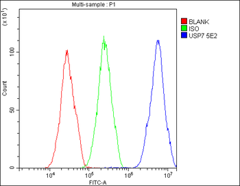 Anti-HAUSP/USP7 Antibody (monoclonal, 5E2)