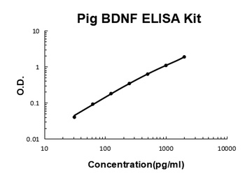 Pig porcine BDNF ELISA Kit