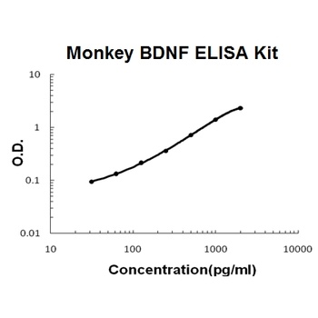 Monkey primate BDNF ELISA Kit