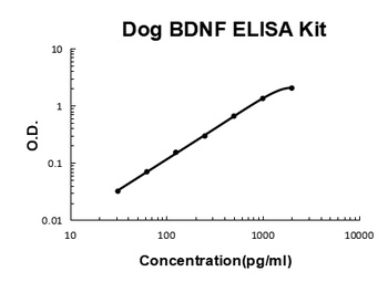 Dog Canine BDNF ELISA Kit